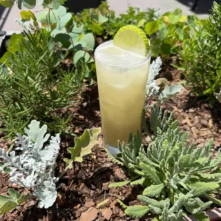Enjoy our featured cocktail this week: Out of office. Blend of rums, pineapple cordial, lime, coconut milk blend, and dusted with nutmeg. A perfect one for being so close to summer!