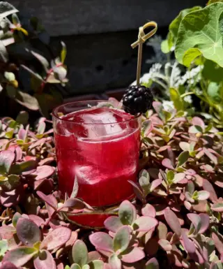Stop in for our featured cocktail this week! Very Demure - bourbon, lemon , crème de mure, and simple syrup